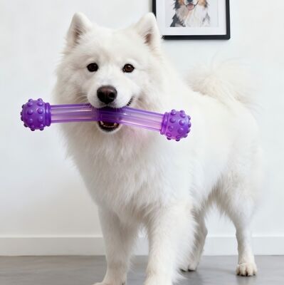 Milieuvriendelijke TPU-korrels, spuitgieten of extrusie, gebruikt in producten zoals huisdierspeelgoed en springtouwen