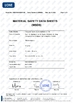 China Dongguan Dingzhi polymer materials Co., LTD certificaten